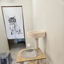 냥냥미장원 이미지