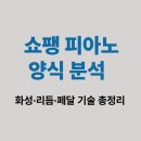 리듬피아노 | 쇼팽 피아노 양식 분석 │ 화성·리듬·페달 기술 총정리