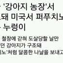 누렁이농장 이미지