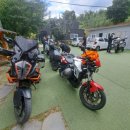 캠프이가리85 이미지