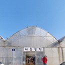 나눔염소농장 이미지