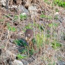 우두강둑길 이미지