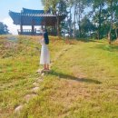 결성초등학교 | [홍성 여행] 9월 가을여행 꽃무릇 &#39;석당산&#39;