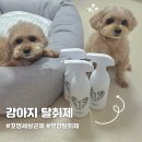 꼬망세 | 매일 쓰는 강아지 탈취제 꼬망세 무향 살균제 후기