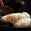 배내허브랜드 이미지