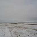 낭만수컷 이미지