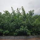 한지체험박물관 이미지