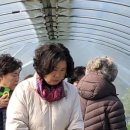 울진봄날애햇살 이미지