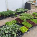 혜림농장 이미지