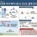 [2026EBS수특] CFC의 오존층 파괴 이미지