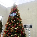 불갑저수지 천변주차장 | [NTBR] 대전 신탄진 브런치 맛집 리얼 후기, 주차, 메뉴 추천, 빵, 신탄진 연축동 대형카페, 대전 카페...