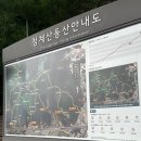 원터골 | 🏔️ 청계산 등산 후기 - 원터골에서 매봉까지!