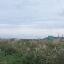 상모리-3 이미지