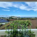 담은 스테이 이미지