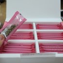 감나무한의원 이미지