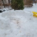 좋은 부모가 될 수 있을까요? 이미지