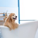 생활영어 기초회화 이미지