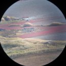 순천만 뜰 이미지