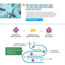 세영종합식품 | 아연, 비타민D,프로바이오틱스가 함유된 유아종합비타민 천연스토리키즈