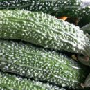 여주-1105 이미지