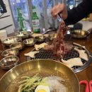 오동동051 | 동래역고기집_고깃리88번지 부산동래 온천점