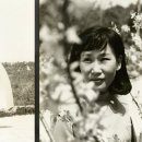 반포대로 81 이미지