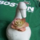 오리한마리 이미지