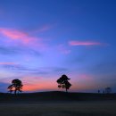 사랑-동행 이미지