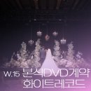 w.15 본식DVD <화이트레코드> 웨딩영상 계약후기 광고쟁이가 까다롭게 고른 업체