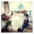 나비야 스튜디오 이미지