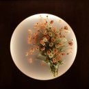 금성스테이 이미지