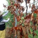 한은농장 이미지