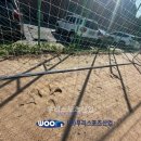 동성중학교 이미지