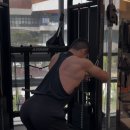 THE JUNG FIT 이미지