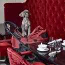 호텔명품서비스 이미지