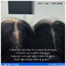 프롬더봄