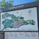 꿈나무수정 | 서울대 관악캠퍼스 셀프투어 후기(feat. 학생식당 텐카이핀)