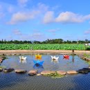 무안황토갯벌랜드 오토캠핑장 이미지