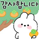 부동산4989공인중개사사무소 이미지