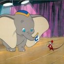 서초동물병원 이미지