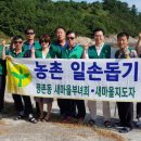 평촌동 행정복지센터 이미지