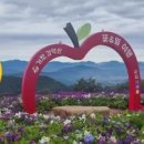 딩동댕발전소 이미지