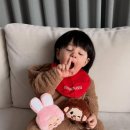 하루 마이데일리