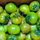 복남 농장 이미지