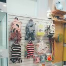 알콩달콩 펫살롱 이미지