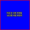 💻지금 안 사면 후회할 LG그램 세일 총정리