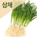 넷플릭스 삼체 후기