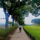 고운님오시는길 이미지