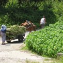 다소농장 이미지