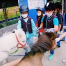 청원초교 이미지